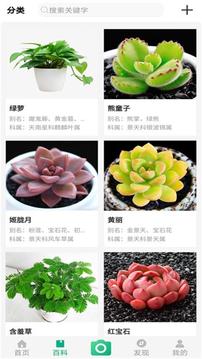 御花园养花